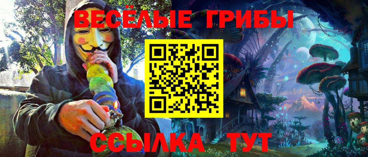 Псилоцибиновые грибы Cubensis  Вход с VPN  Ижевск 