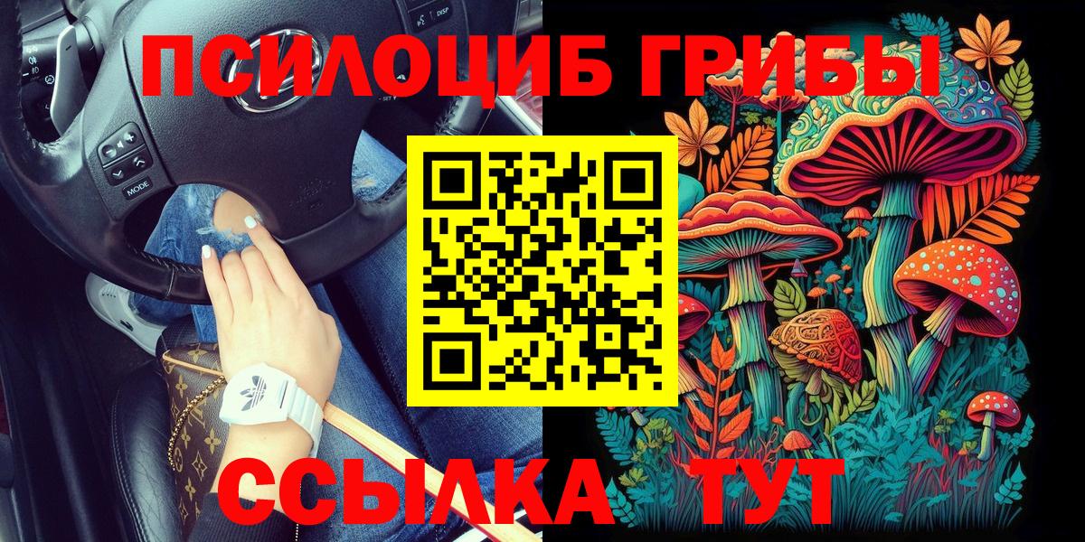 Псилоцибиновые грибы Psilocybine cubensis Ижевск